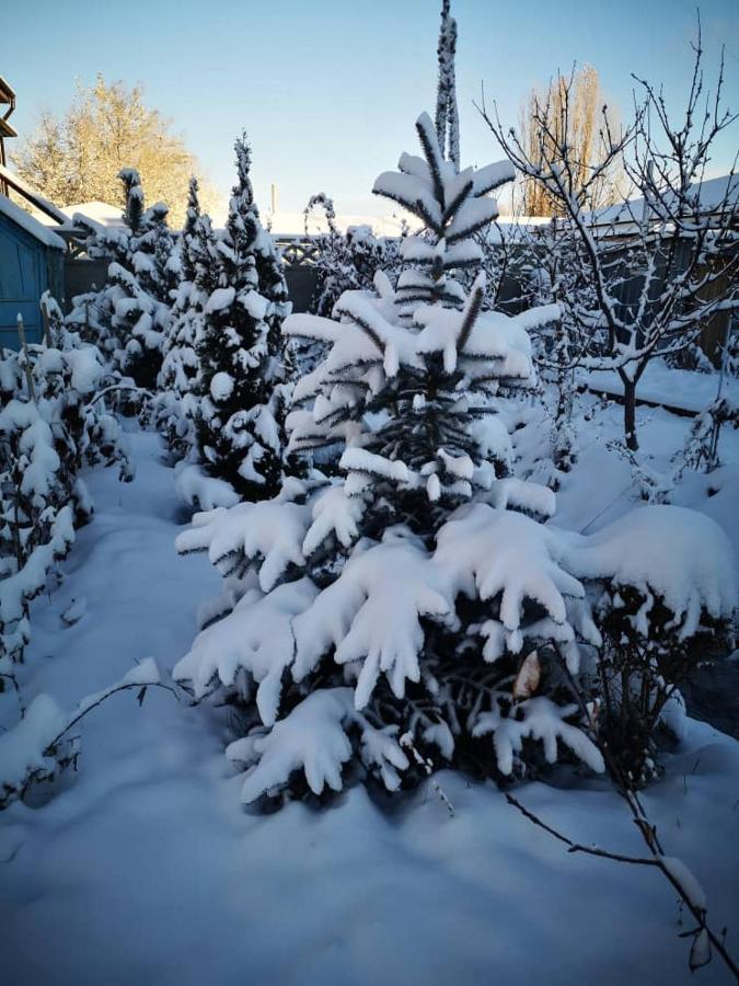 Загородный Коттедж Kek-Dzhar Exteriér fotografie